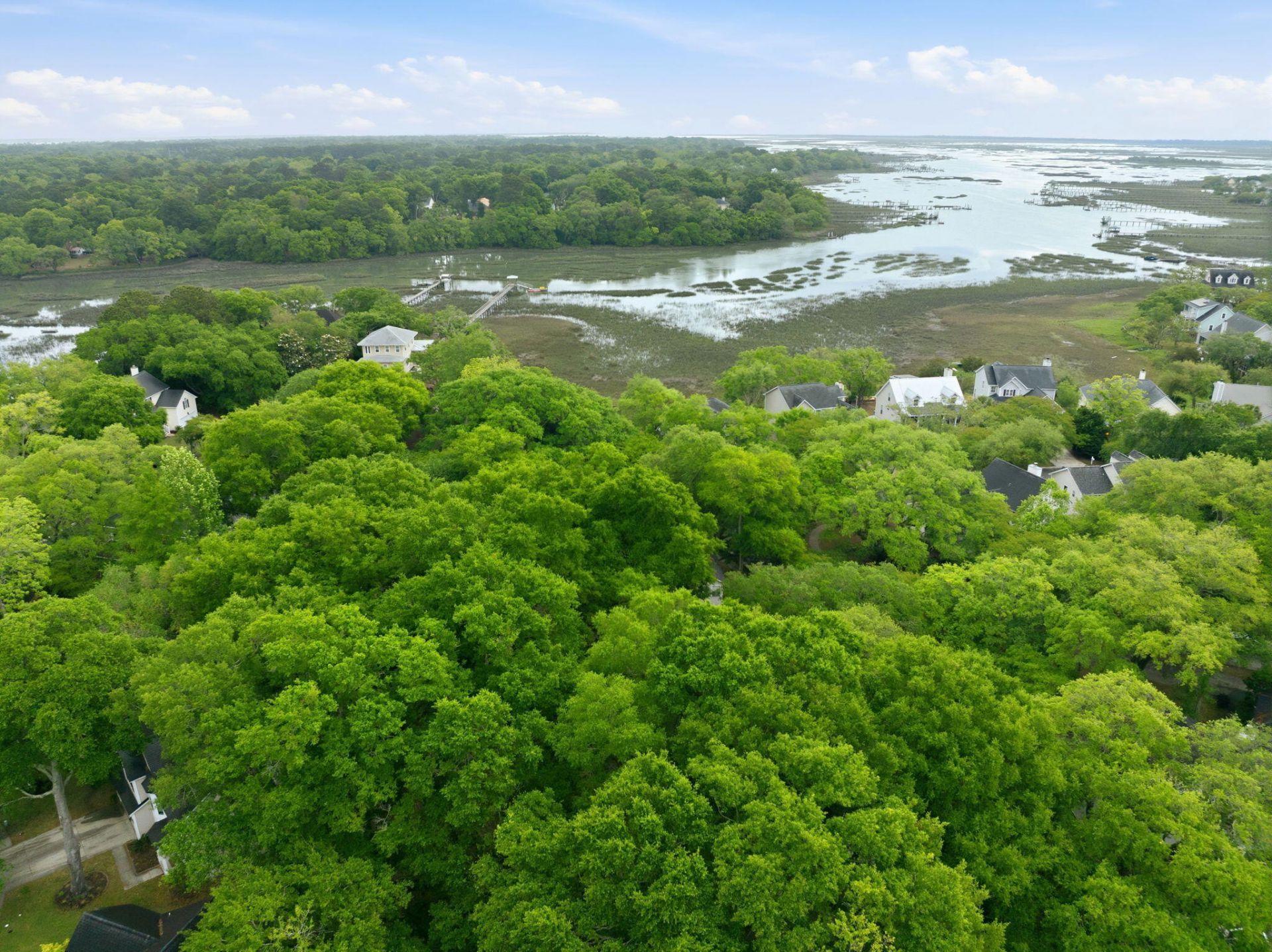 1421 Wexford Sound Drive Photo 47