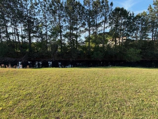 132 Palm Cove Circle  Photo 10