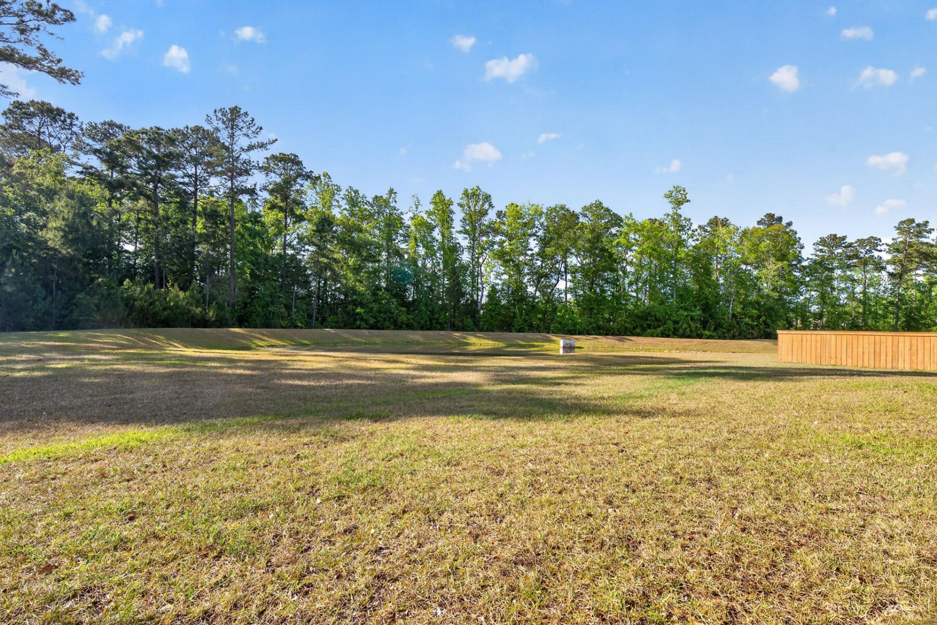 627 Silver Spruce Photo 28