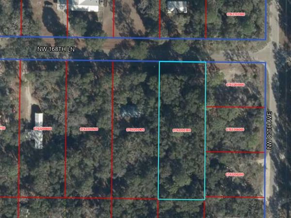 TBD NW 168th Ln, Fanning Springs, FL 32680