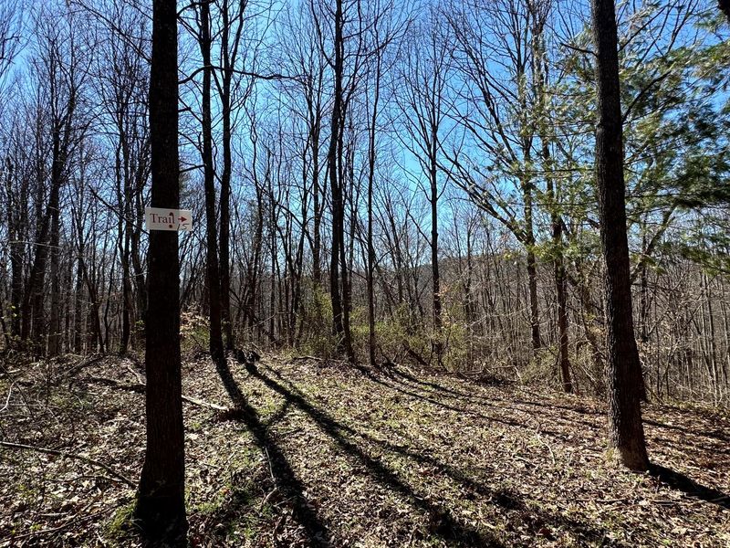 999 Poplar Ridge Road , Unit (Ponds Pop, Gallipolis, OH 45631 Photo 11