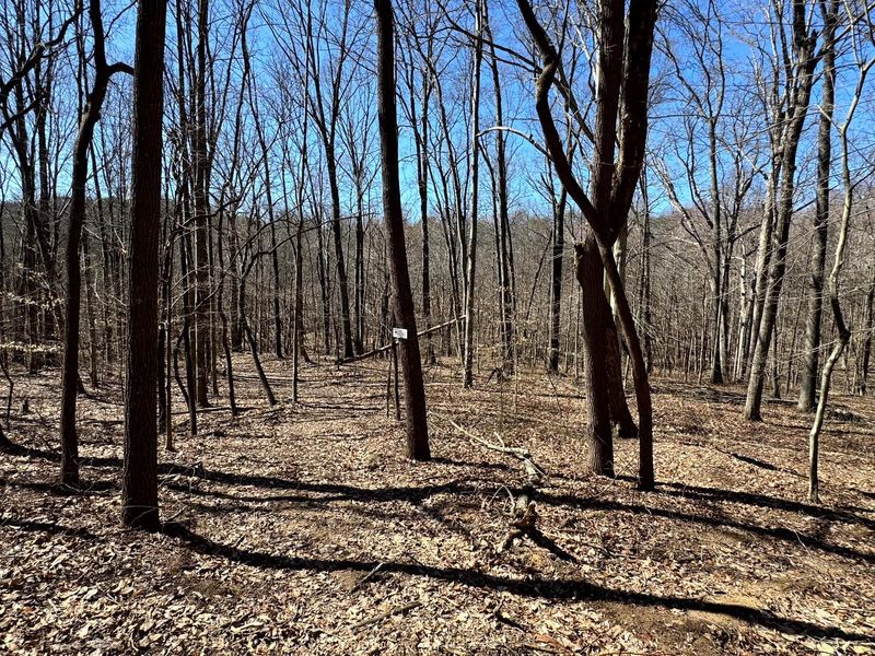 999 Poplar Ridge Road , Unit (Ponds Pop, Gallipolis, OH 45631 Photo 12