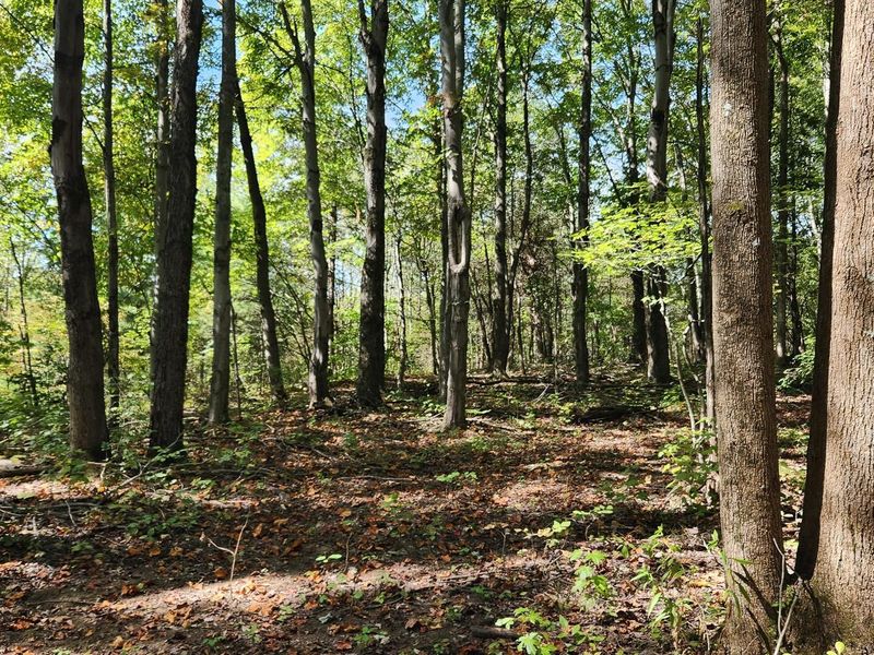 999 Poplar Ridge Road , Unit (Ponds Pop, Gallipolis, OH 45631 Photo 18