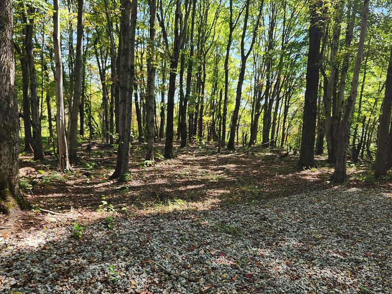 999 Poplar Ridge Road , Unit (Ponds Pop, Gallipolis, OH 45631 Photo 19