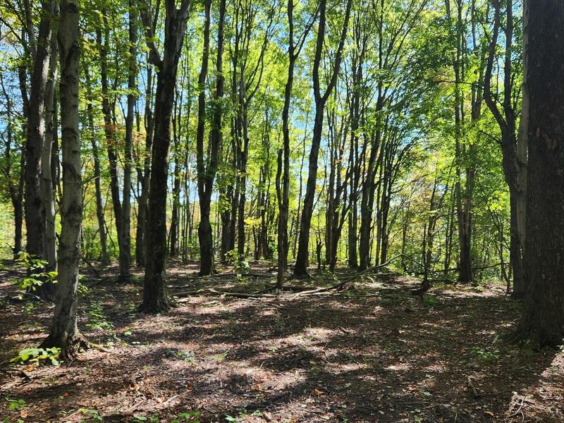 999 Poplar Ridge Road , Unit (Ponds Pop, Gallipolis, OH 45631 Photo 20