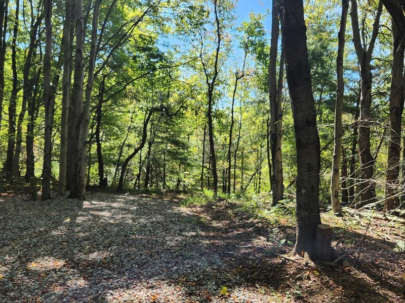 999 Poplar Ridge Road , Unit (Ponds Pop, Gallipolis, OH 45631 Photo 22