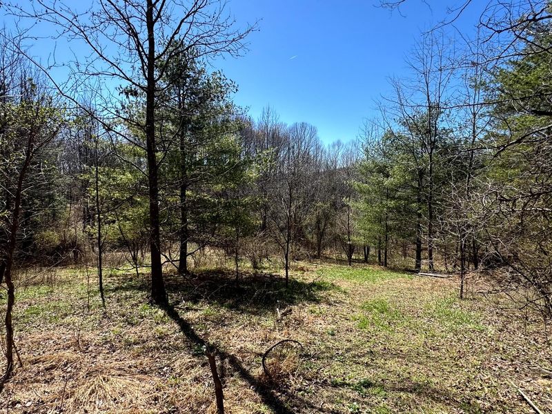 999 Poplar Ridge Road , Unit (Ponds Pop, Gallipolis, OH 45631 Photo 25