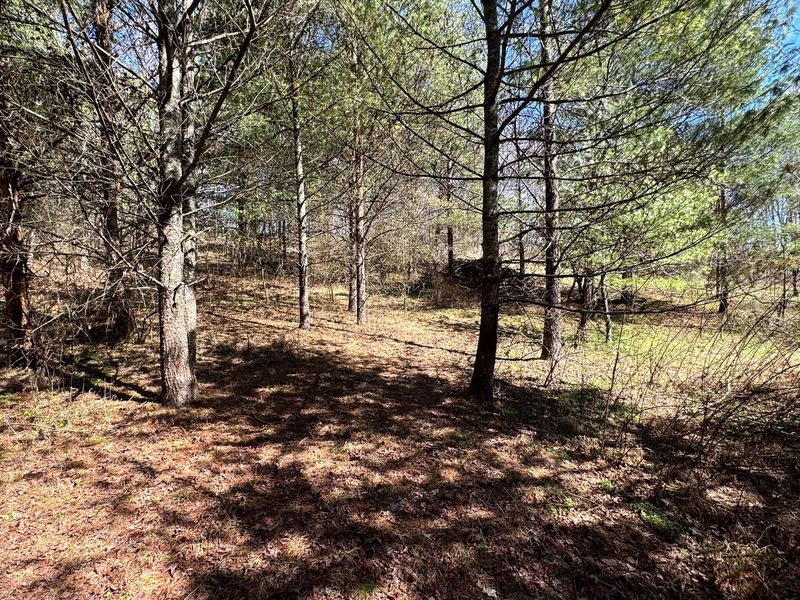 999 Poplar Ridge Road , Unit (Ponds Pop, Gallipolis, OH 45631 Photo 27