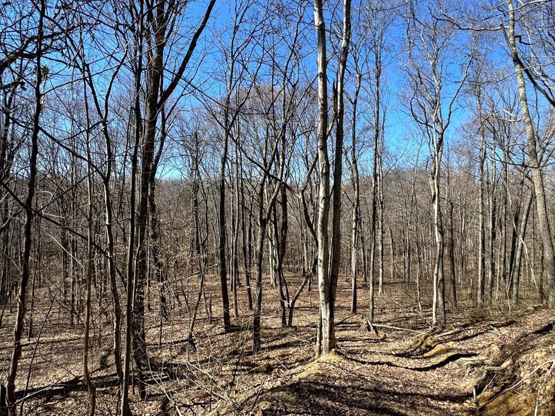 999 Poplar Ridge Road , Unit (Ponds Pop, Gallipolis, OH 45631 Photo 28