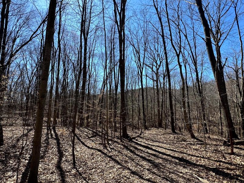 999 Poplar Ridge Road , Unit (Ponds Pop, Gallipolis, OH 45631 Photo 30
