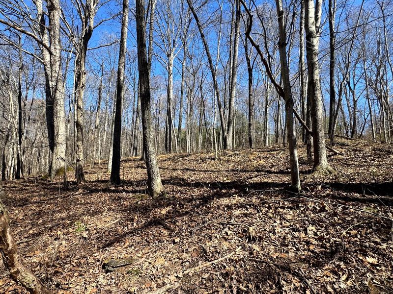 999 Poplar Ridge Road , Unit (Ponds Pop, Gallipolis, OH 45631 Photo 33