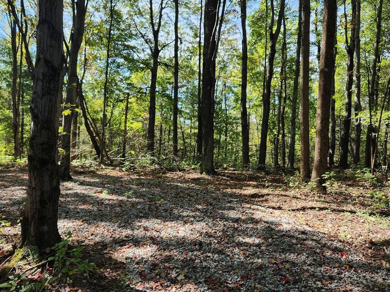 999 Poplar Ridge Road , Unit (Ponds Pop, Gallipolis, OH 45631 Photo 4