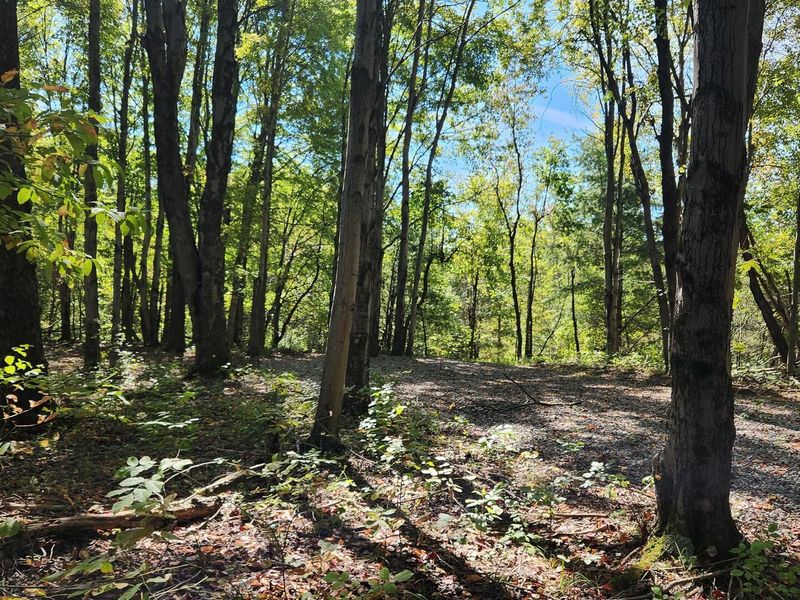 999 Poplar Ridge Road , Unit (Ponds Pop, Gallipolis, OH 45631 Photo 5