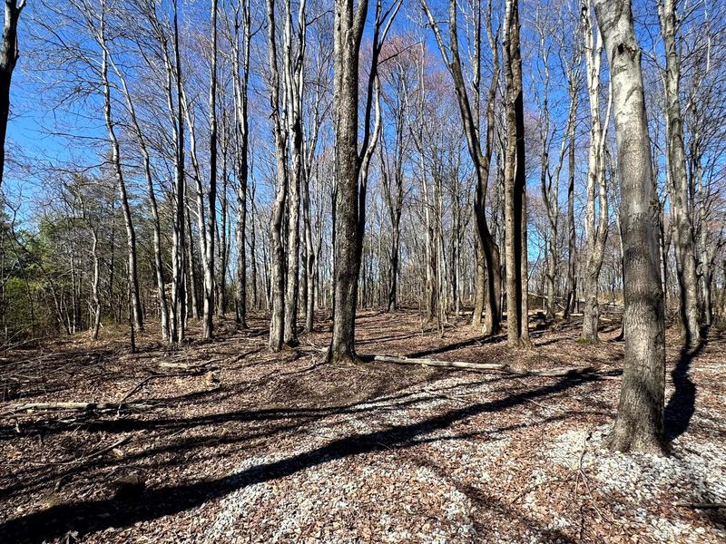 999 Poplar Ridge Road , Unit (Ponds Pop, Gallipolis, OH 45631 Photo 7