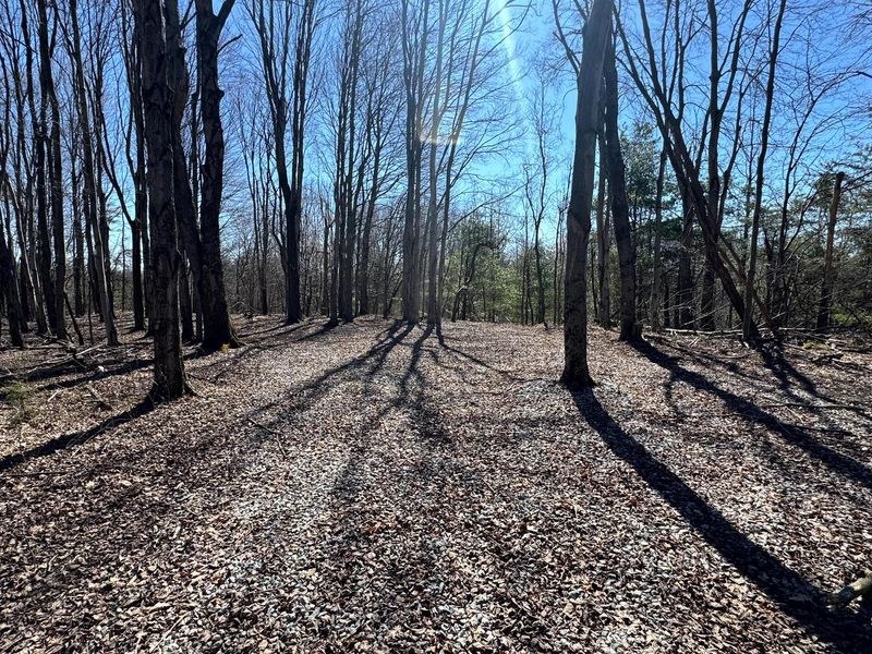 999 Poplar Ridge Road , Unit (Ponds Pop, Gallipolis, OH 45631 Photo 9