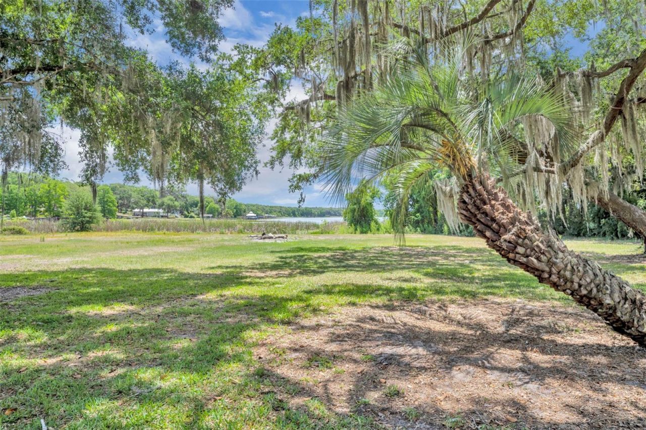 13450 SE 105th Terrace, Ocklawaha, FL 32179 Photo