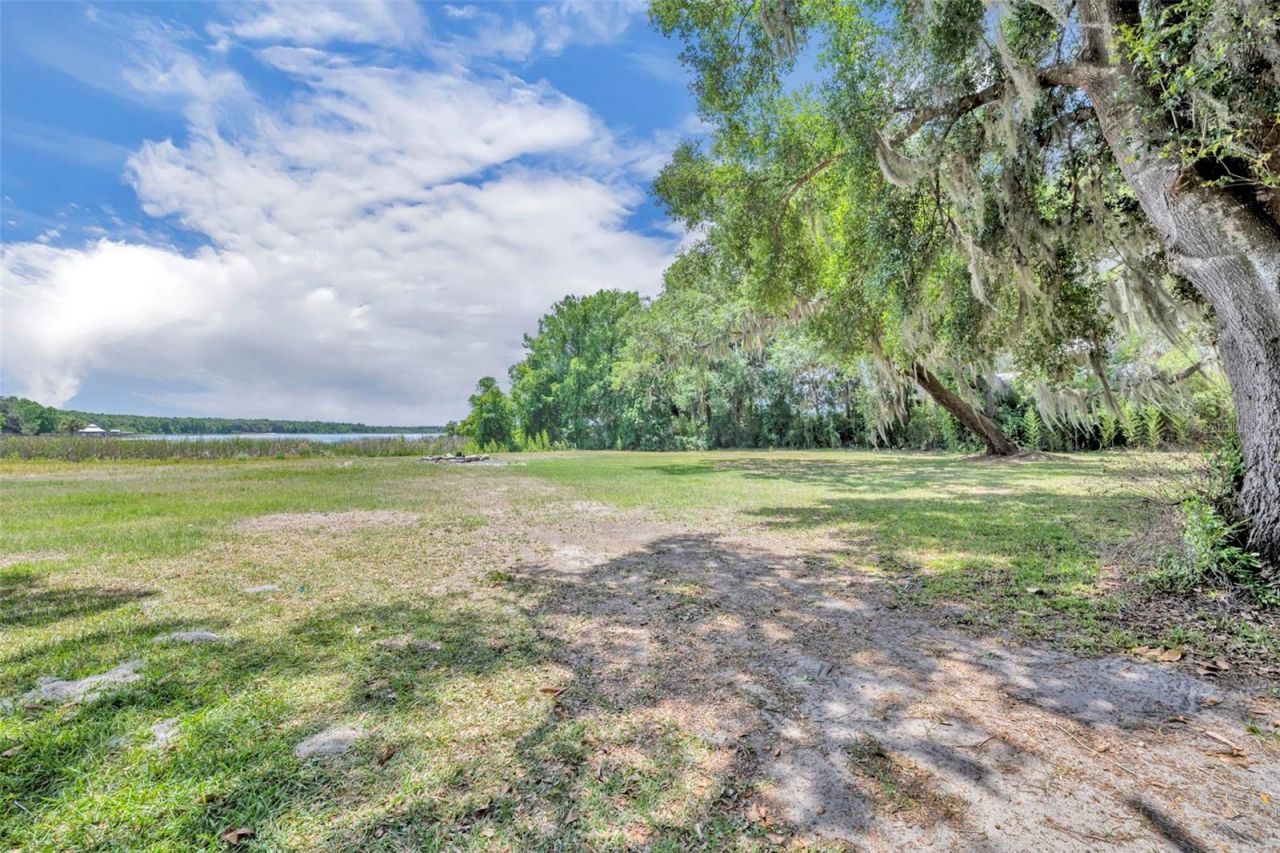 13450 SE 105th Terrace, Ocklawaha, FL 32179 Photo