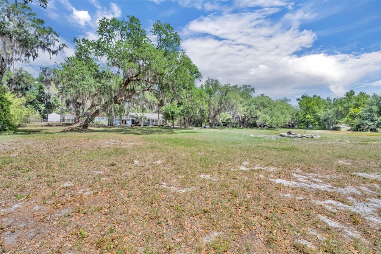 13450 SE 105th Terrace, Ocklawaha, FL 32179 Photo