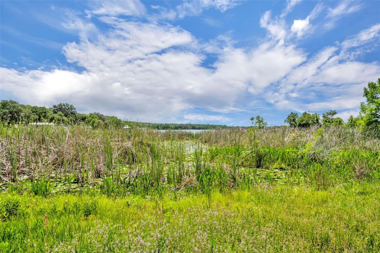 13450 SE 105th Terrace, Ocklawaha, FL 32179 Photo