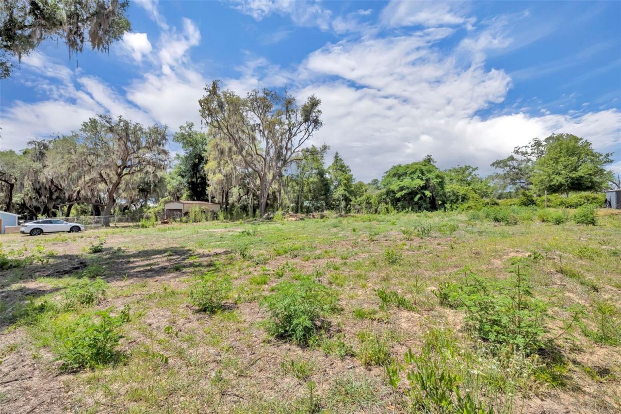 13450 SE 105th Terrace, Ocklawaha, FL 32179 Photo
