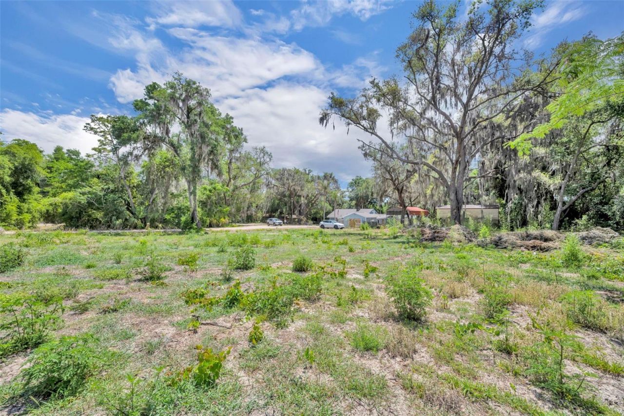 13450 SE 105th Terrace, Ocklawaha, FL 32179 Photo