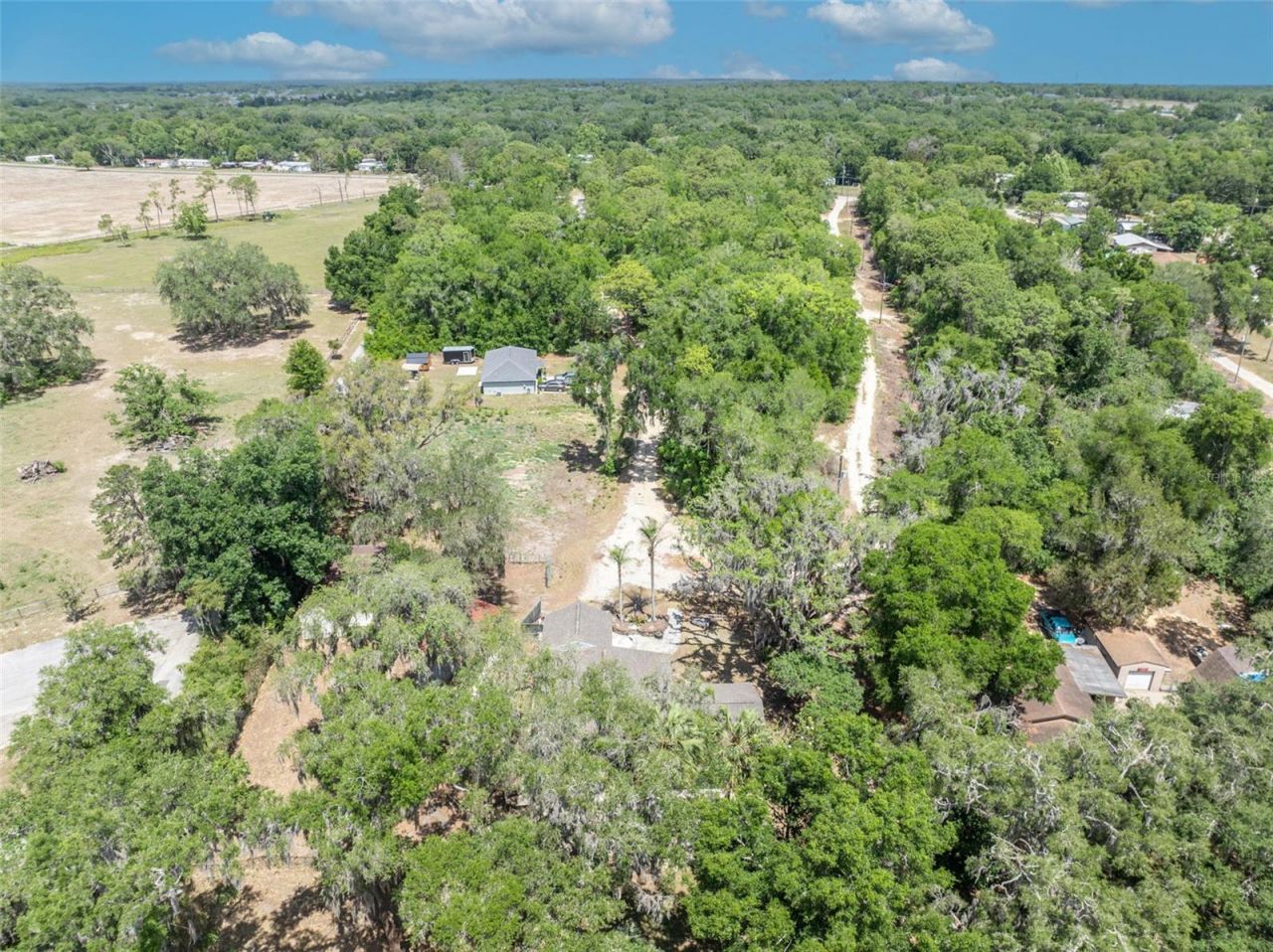 13450 SE 105th Terrace, Ocklawaha, FL 32179 Photo