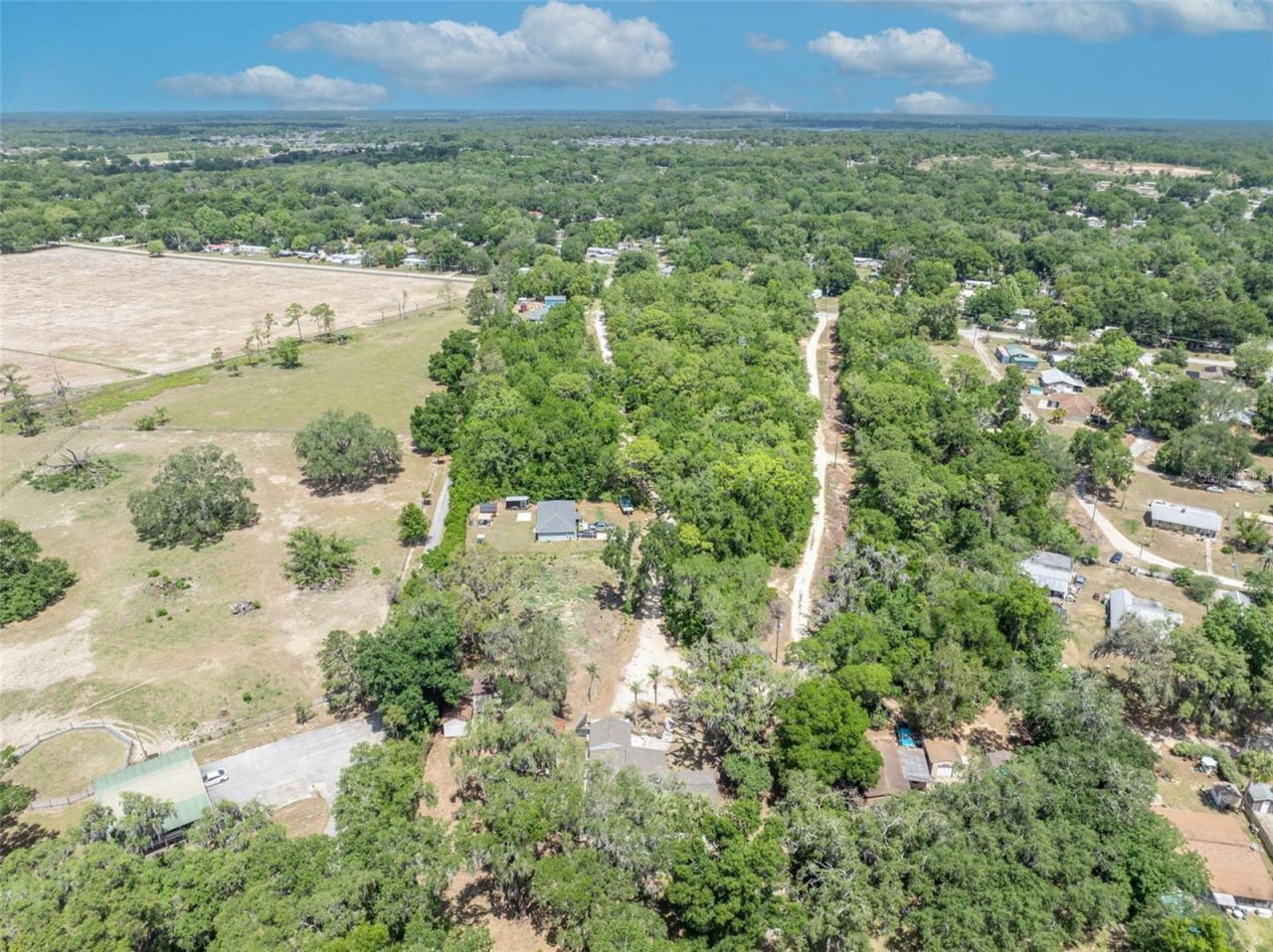 13450 SE 105th Terrace, Ocklawaha, FL 32179 Photo