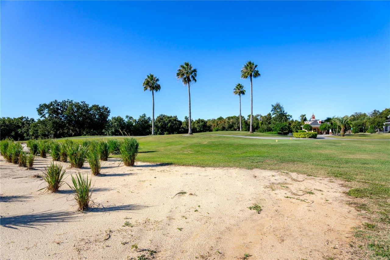 1188 Castle Pines Court, Reunion, FL 34747 Photo