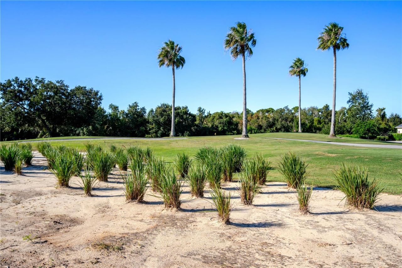 1188 Castle Pines Court, Reunion, FL 34747 Photo