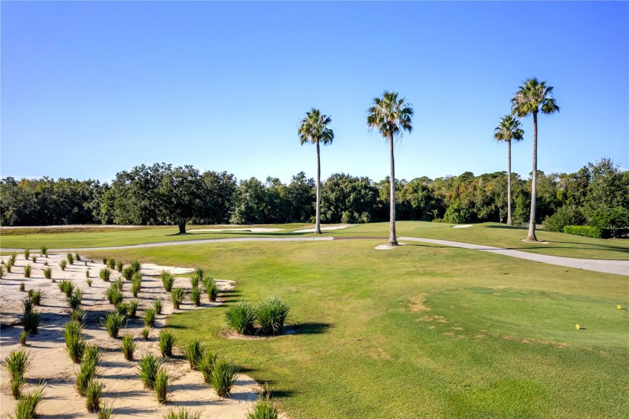1188 Castle Pines Court, Reunion, FL 34747 Photo
