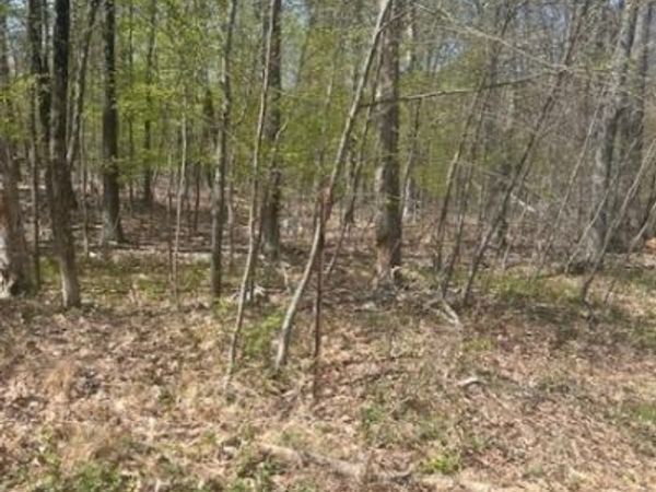 37 Courtright Rd, Wantage, NJ 07461