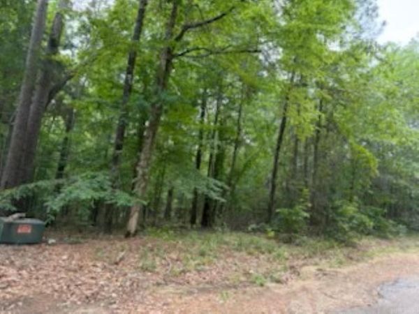 Lot 146 Pin Oak, Camden, AR 71701