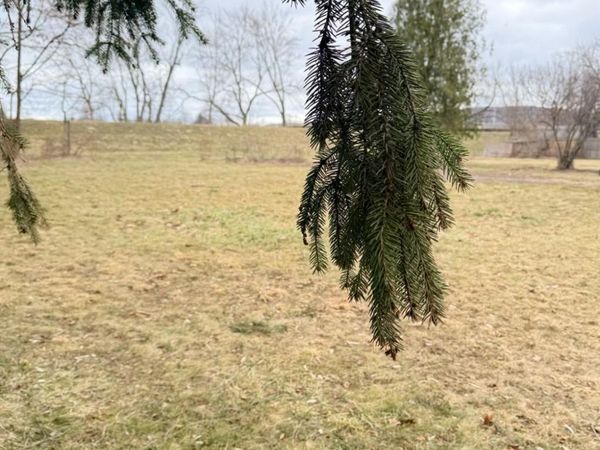 600 West Hudson Street , Elmira, NY 14904