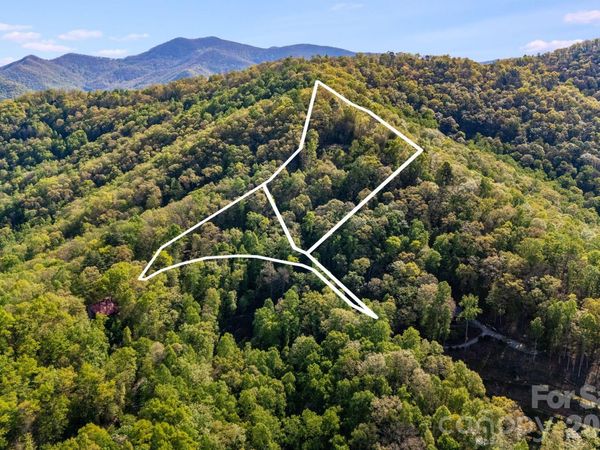 785 & 841 Laurel Spring Drive , Bryson City, NC 28713