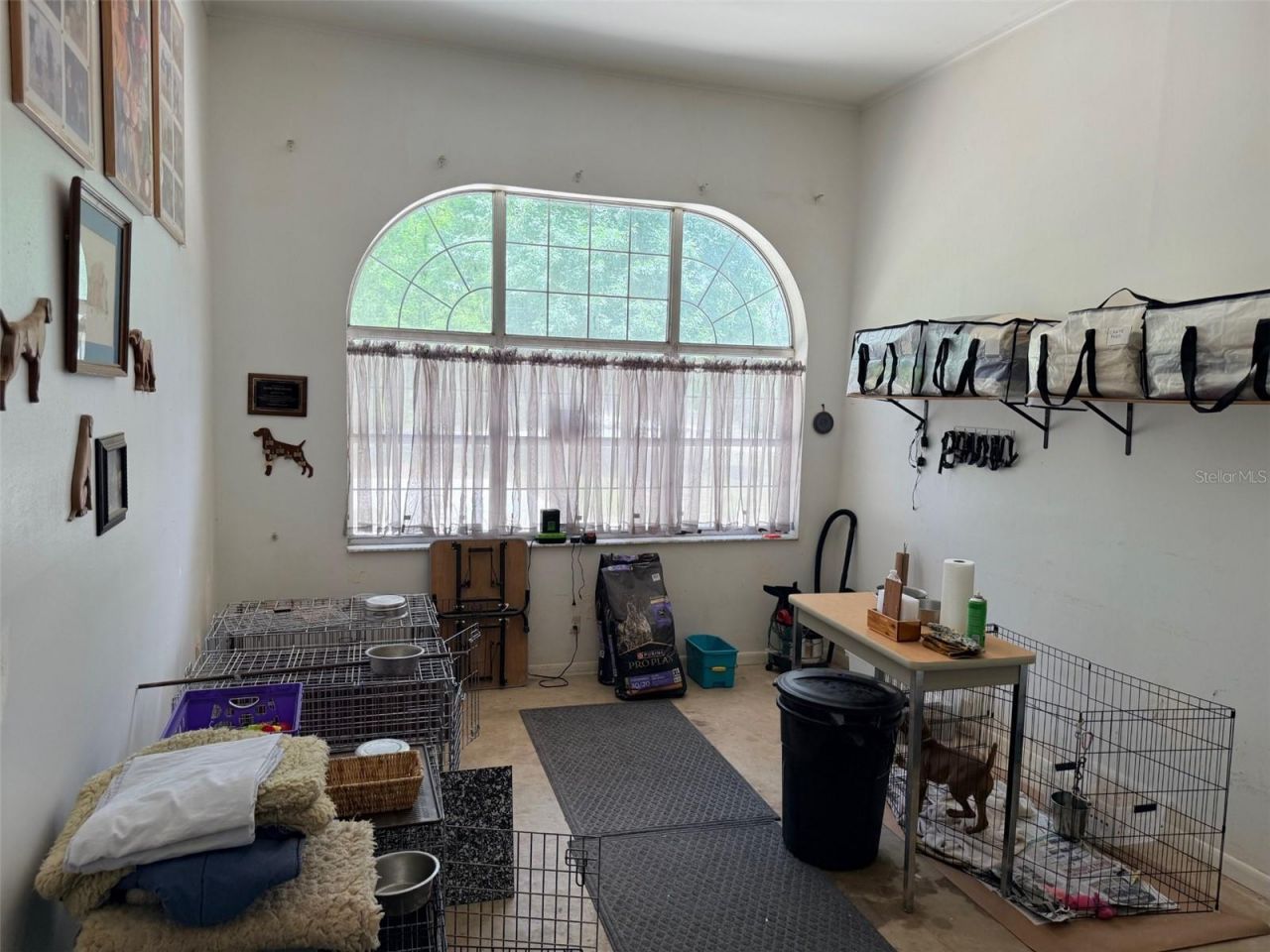 288 NE 899th Street , Old Town, FL 32680 Photo