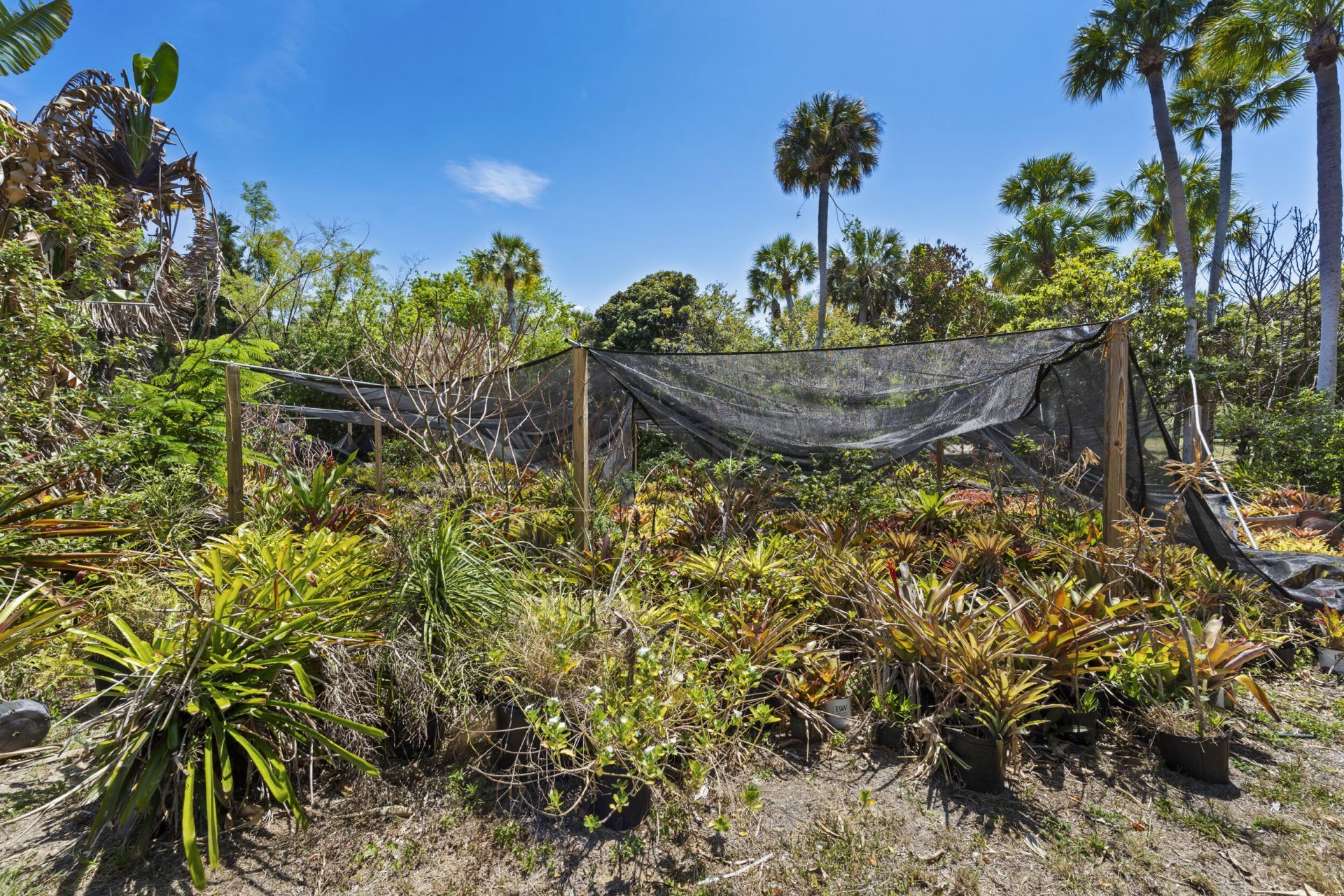 2614 NE Palm Avenue, Jensen Beach, FL 34957 Photo