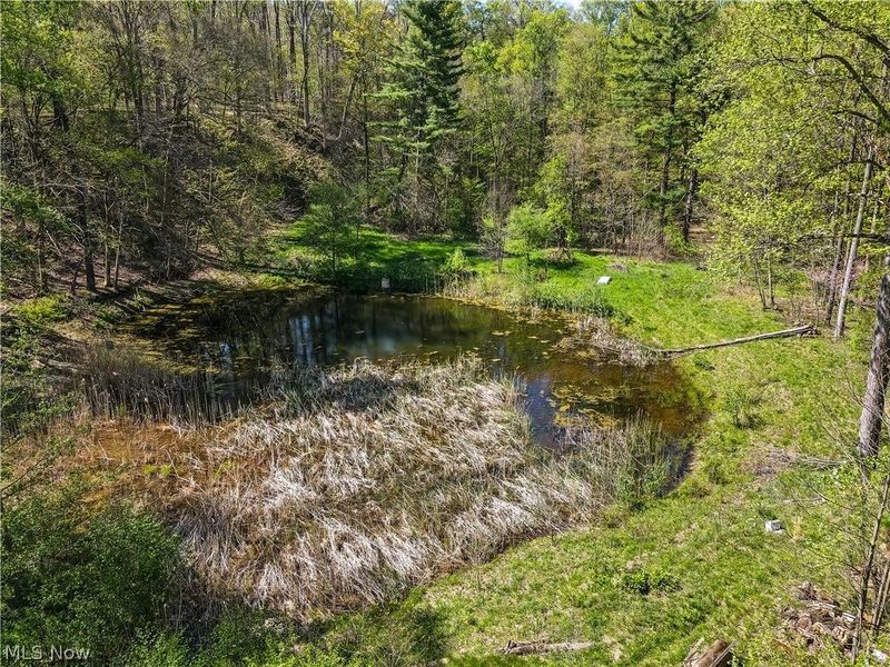 12376 Heath Road, Chesterland, OH 44026 Photo 3