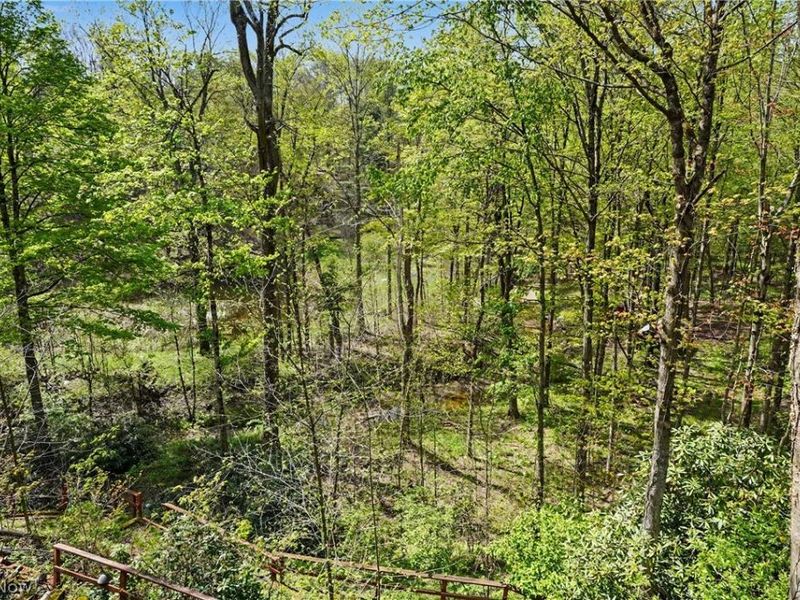 12376 Heath Road, Chesterland, OH 44026 Photo 41