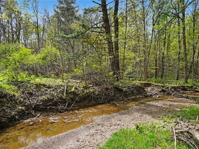 12376 Heath Road, Chesterland, OH 44026 Photo 46