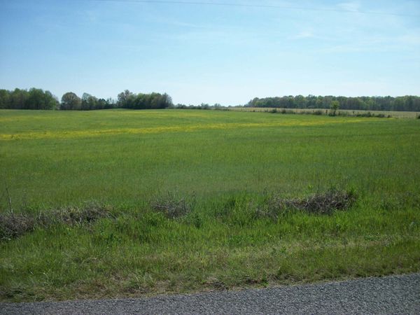 0 Blanton School Rd , Woodbury, TN 37190