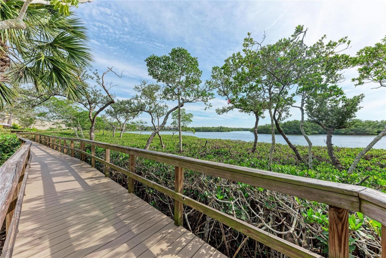 1709 Clower Creek Drive, Unit 205, Sarasota, FL 34231 Photo