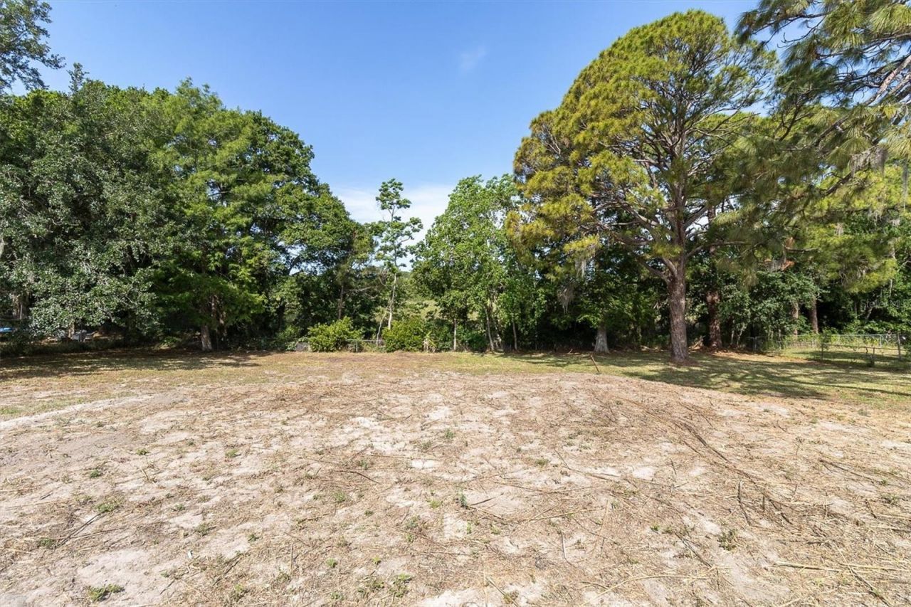 9145 Osceola Drive , New Port Richey, FL 34654 Photo