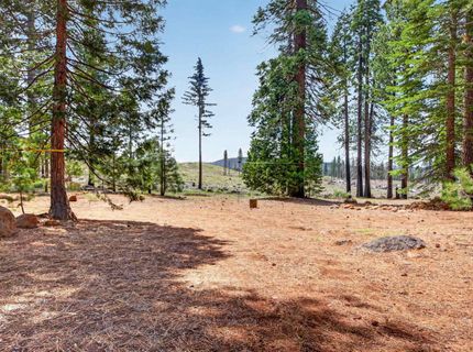 326 Osprey Loop, Lake Almanor, CA 96020 Photo