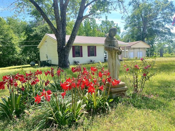 1245 Robinson Rd, Counce, TN 38326