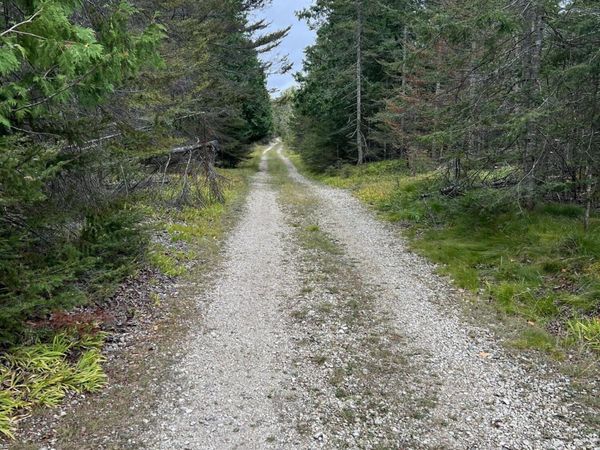 720-164 Erie ST, Bois Blanc, MI 49775