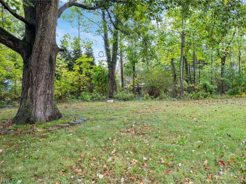 1720 Lincoln Way E, Massillon, OH 44646 Photo 25