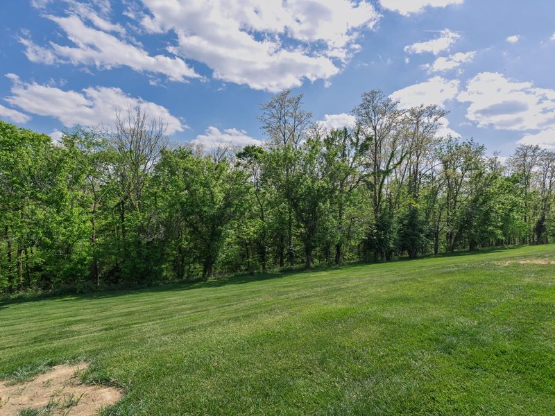 140 Seneca Trail, Dry Ridge, KY 41035 Photo 14