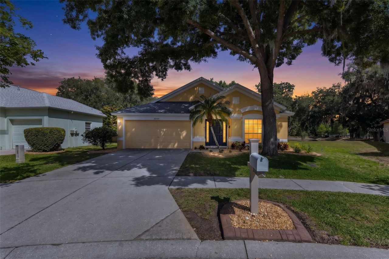 30709 Lanesborough Circle, Wesley Chapel, FL 33543 Main Photo