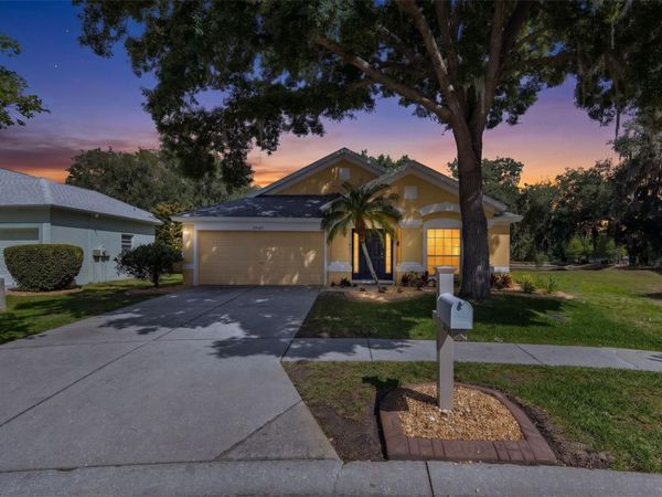 30709 LANESBOROUGH CIRCLE, WESLEY CHAPEL, FL 33543