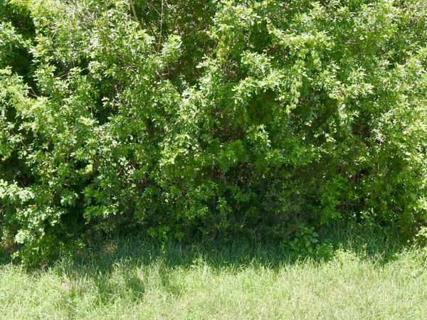 172 SW Gettysburg Drive, Port St. Lucie, FL 34953